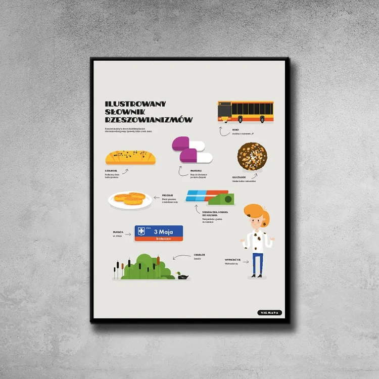 Plakat Ilustrowany Słownik Rzeszowianizmów tło ściana szary beton