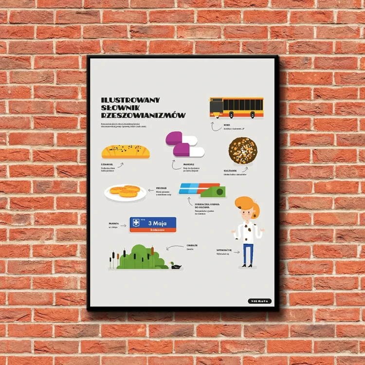 Plakat Ilustrowany Słownik Rzeszowianizmów tło ściana czerwone cegły