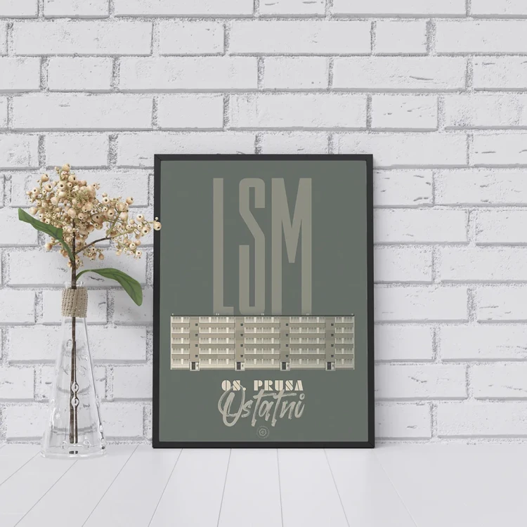 Plakat LSM Ostatni mockup