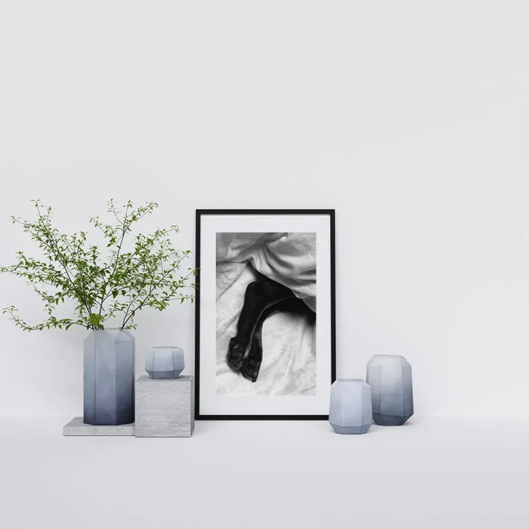 Plakat Cold paws mockup