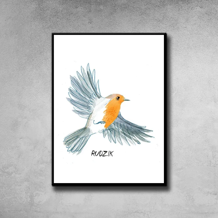 Plakat Rudzik tło ściana szary beton