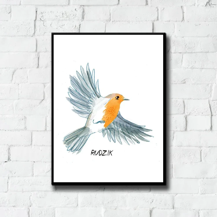 Plakat Rudzik tło ściana białe cegły
