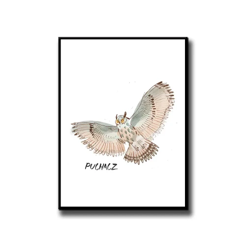 Plakat Puchacz białe tło