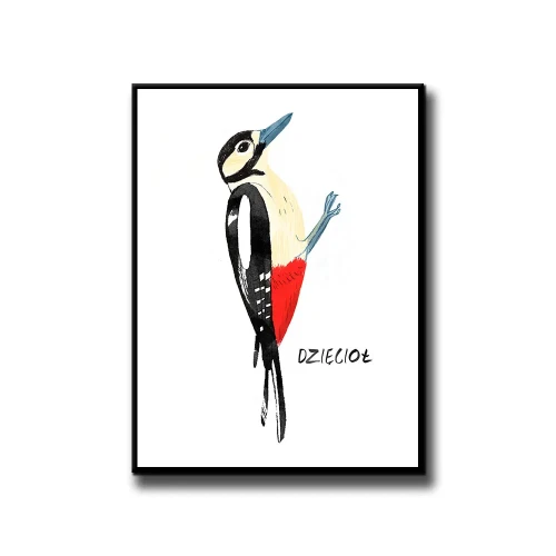 Plakat Dzięcioł białe tło