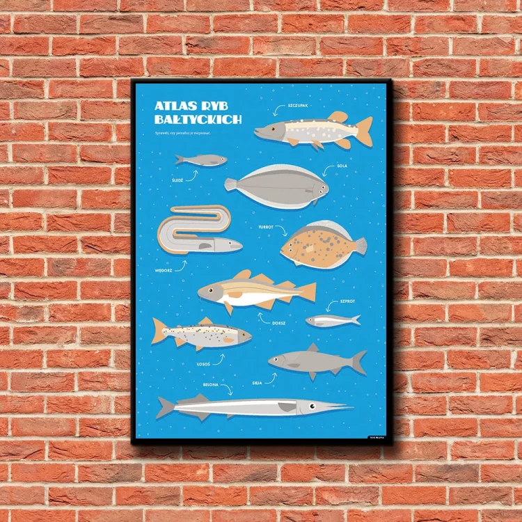 Plakat Atlas Ryb Bałtyckich tło ściana czerwone cegły