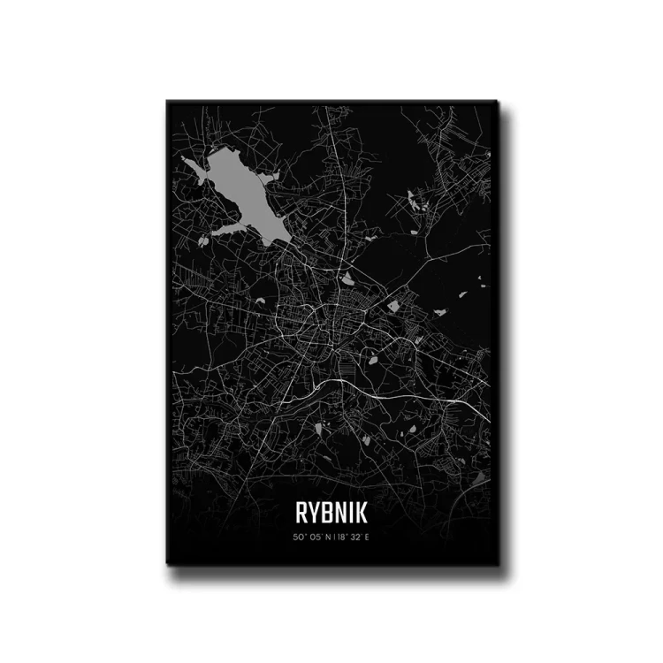 Plakat Rybnik night białe tło