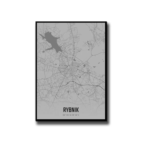 Plakat Rybnik fog białe tło