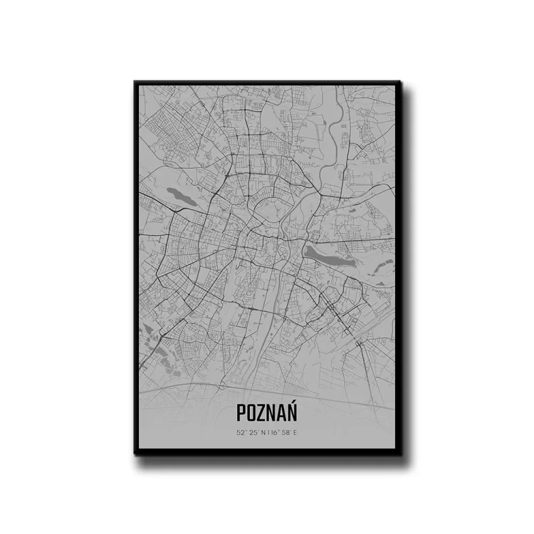 Plakat Poznań fog białe tło