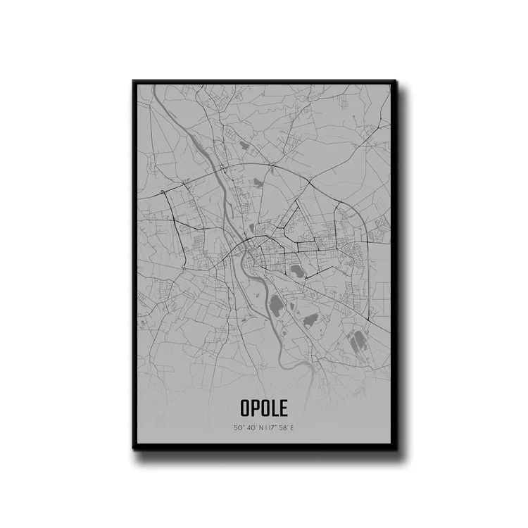 Plakat Opole fog białe tło