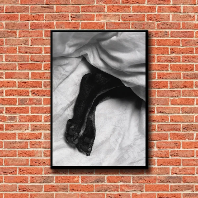 Plakat Cold paws tło ściana czerwone cegły