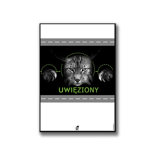 Plakat Uwięziony białe tło